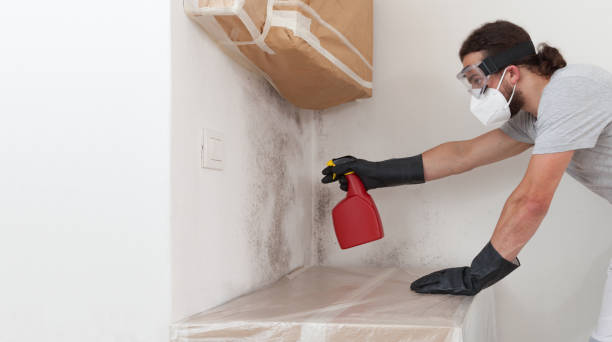 Professional Crawl Space Mold Remediation technician working in Rockton, IL