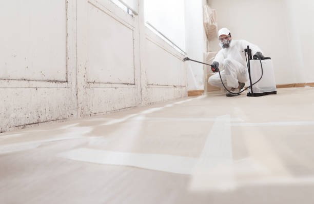 24/7 Emergency Crawl Space Mold Remediation experts in Rockton, IL