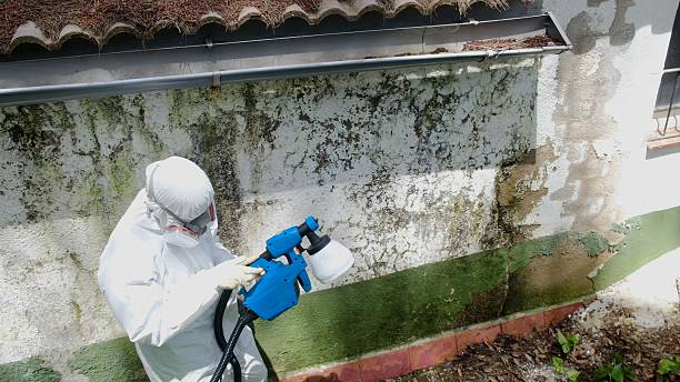 Top rated local Crawl Space Mold Remediation specialists in Rockton, IL